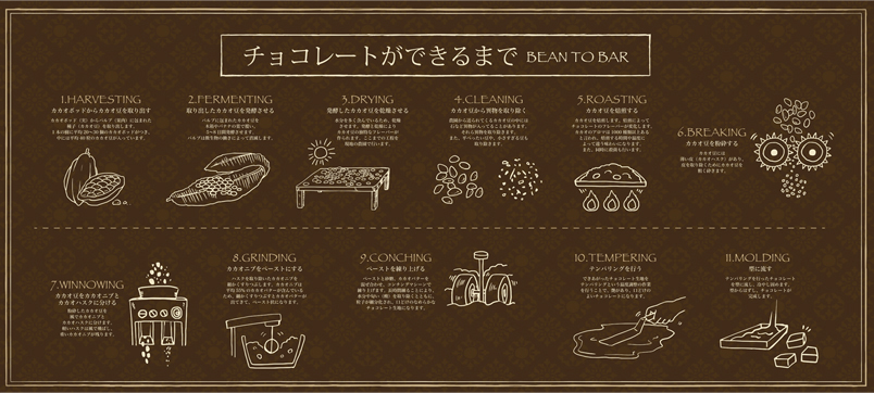 チョコレートができるまで のコピー.jpg